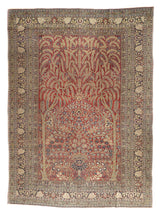 Persia Tabriz Wool on Cotton 8'3''x11'4''