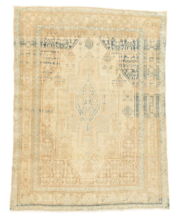 Persia Malayer Wool on Cotton 4'1''x6'