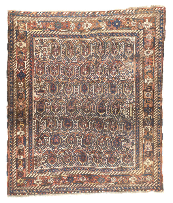 Persia Afshar Wool on wool 5'2''x6'