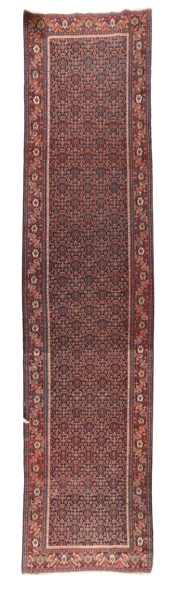 Iran Persian Wool on Cotton 3'10''x16'6''