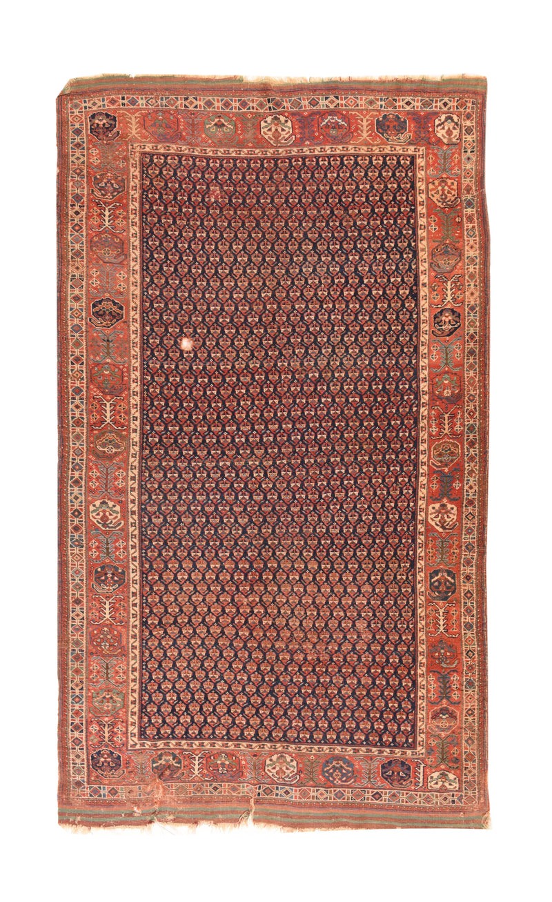 Persia Afshar Wool on wool 5'4''x9'7''