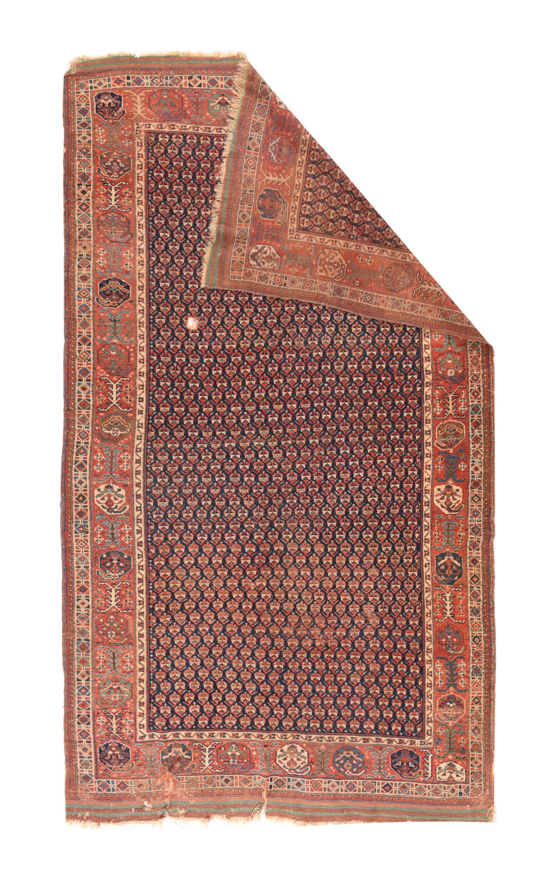 Antique Afshar Rug 5'4'' x 9'7''