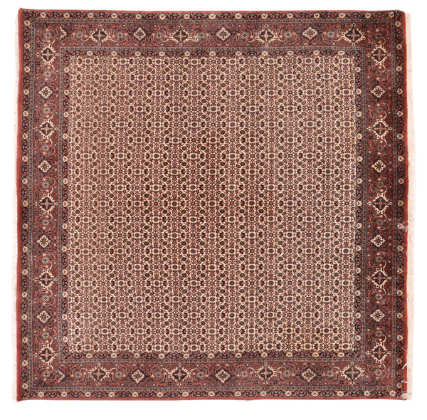 Excellent Brown  Bidjar Rug