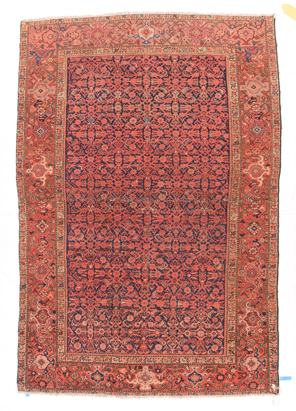 Persian Malayer Wool on Cotton 5'2''x7'11''